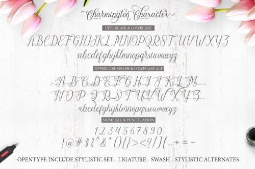 Charmington Script Font 5