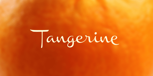 Chinal Script Font 5