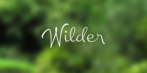 Chinal Script Font 6