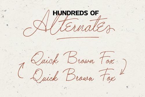 Chrysante Handwritten Signature Font  3