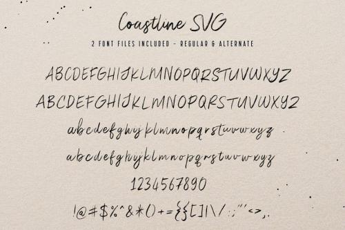 Coastline Brush Font 3