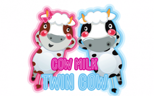 Coco Milk Display Font