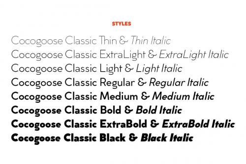 Cocogoose Classic Font Famly 6