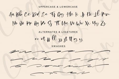 Coding Sign Handwritten Bounce Script Font 2