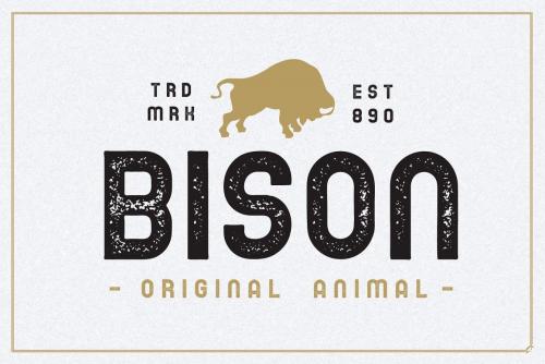 Corma Vintage Sans Font 3