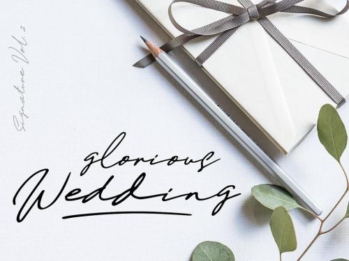 Daniels Signature Font 10