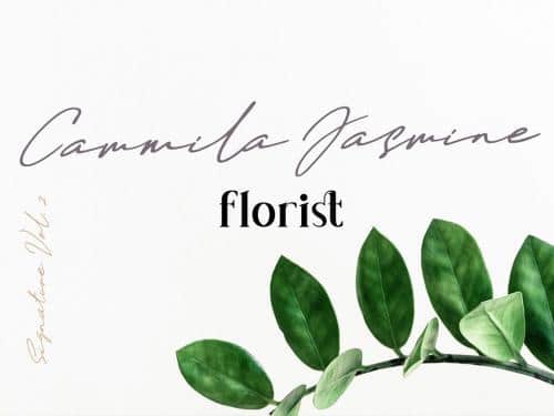 Daniels Signature Font 2