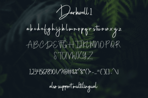 Darkwell Signature Family 10
