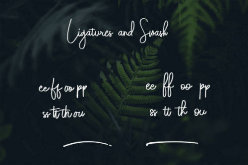 Darkwell Signature Family 12