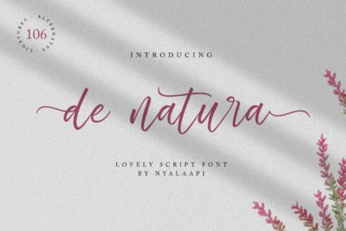 De Natura Modern Script Font 1