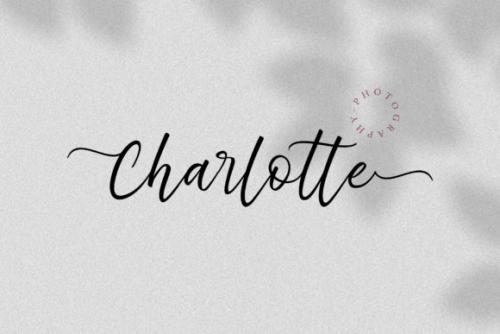 De Natura Modern Script Font 5