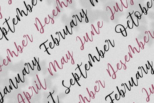 De Natura Modern Script Font 7