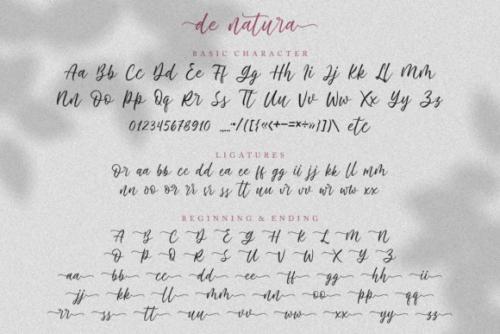 De Natura Modern Script Font 9