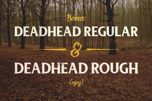Deadhead Script Font  6