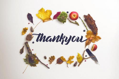 Decalled Script Font Free Download 5