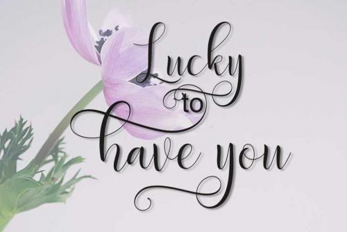 Delany Script Font  1
