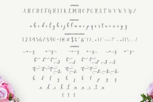 Delany Script Font  2