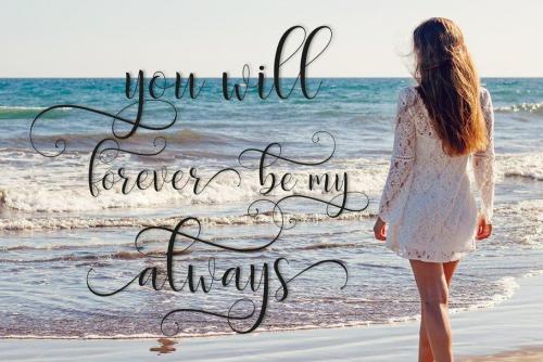 Delight Script Font 8