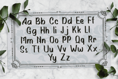 Delightful Font 8
