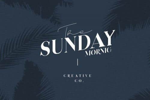 Devitos Modern Elegant Serif Font  1