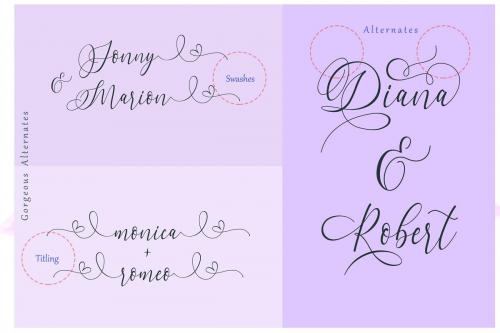 Dialova Script Font  8