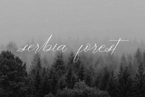 Dramatic Style Calligraphy Font  5