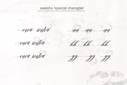 Edore Script Font 8