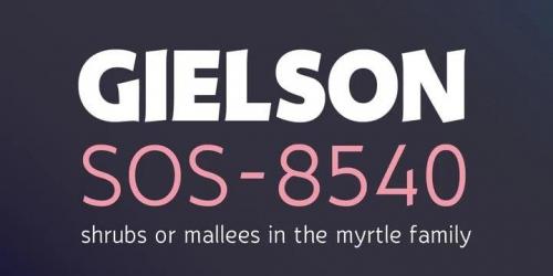 Eklekt Sans Serif Font 3