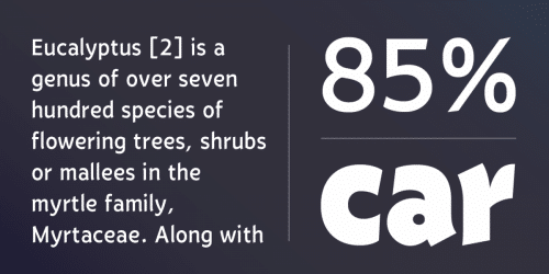 Eklekt Sans Serif Font  3