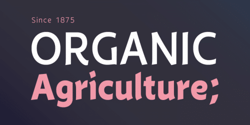 Eklekt Sans Serif Font  4