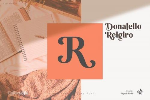 Embryotic Serif Display Font 12