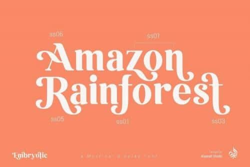 Embryotic Serif Display Font 13