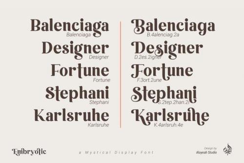 Embryotic Serif Display Font 14