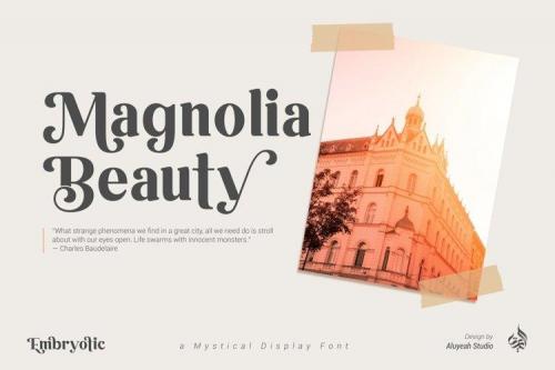 Embryotic Serif Display Font 3