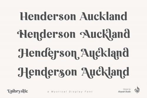 Embryotic Serif Display Font 4