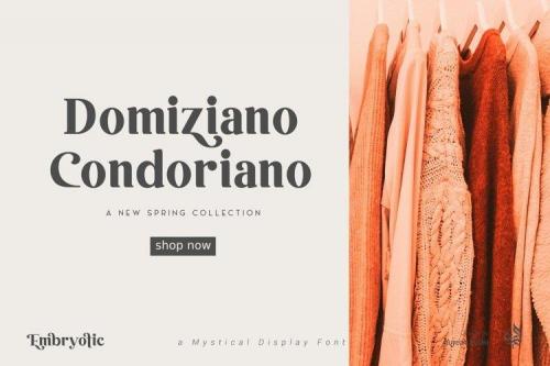 Embryotic Serif Display Font 5