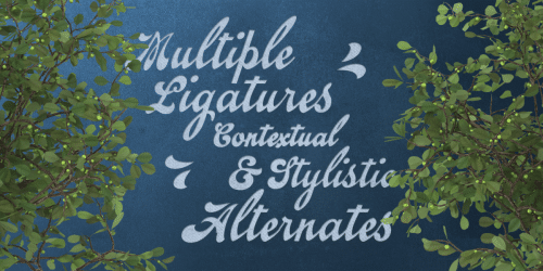 Emiral Script Font 2