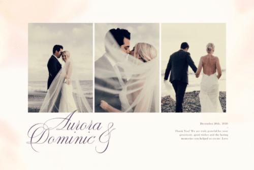 Enica Calligraphy Font 5