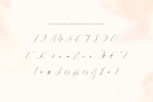 Enica Calligraphy Font 9