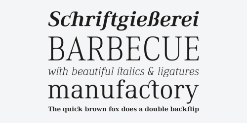Ethos Serif Font Free  2