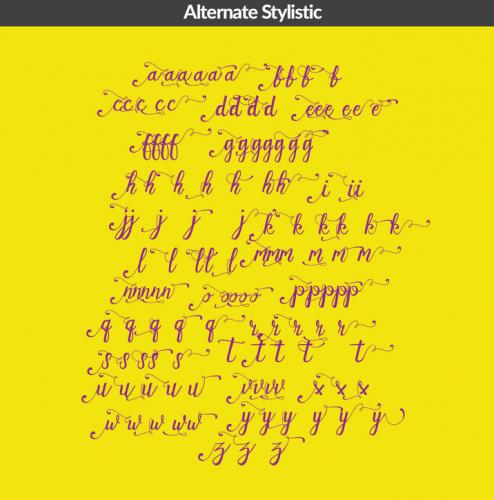 Evelyn Font Family 5