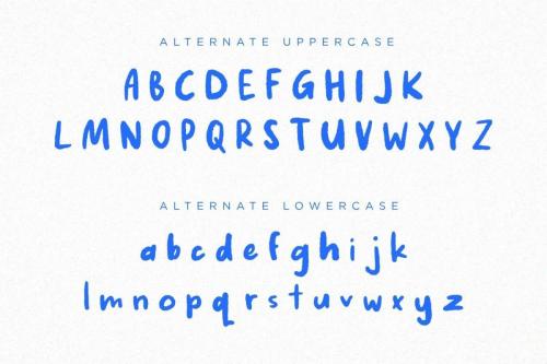 Fake Nice Display Font  11