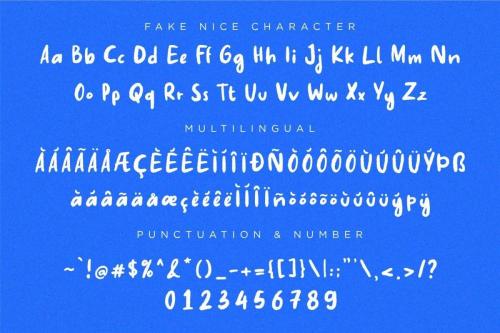 Fake Nice Display Font  9
