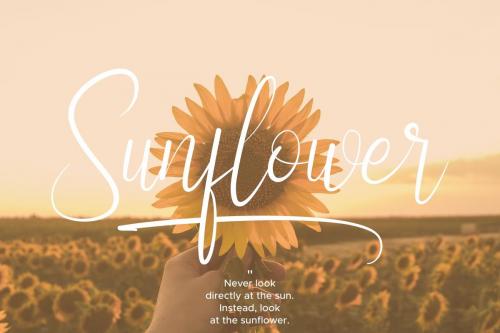 Fieldstone Calligraphy Font 9