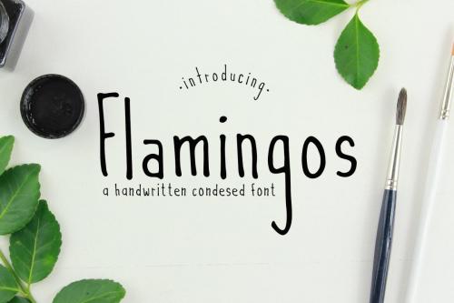 Flamingos Handwritten Font 1