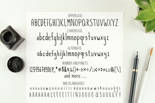 Flamingos Handwritten Font 8