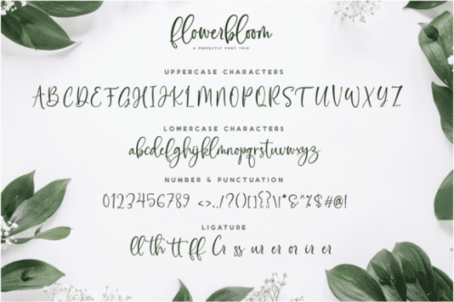 Flowerbloom Font  10