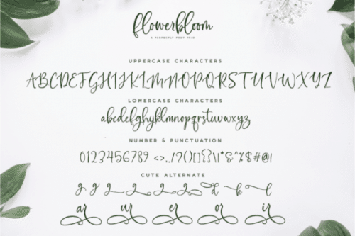 Flowerbloom Font  11