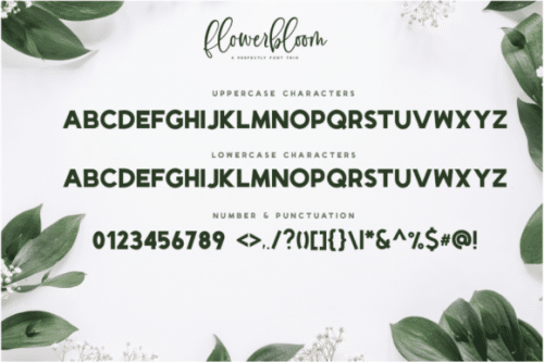 Flowerbloom Font  12