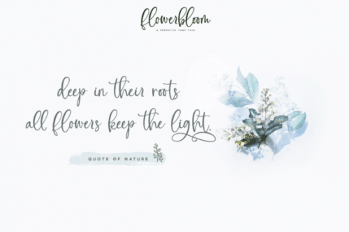 Flowerbloom Font  2